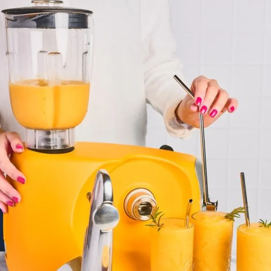 Best Ankarsrum Original Blender