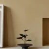 Audo Copenhagen Stue|Vaser > Hana Vase H7 cm, Umber