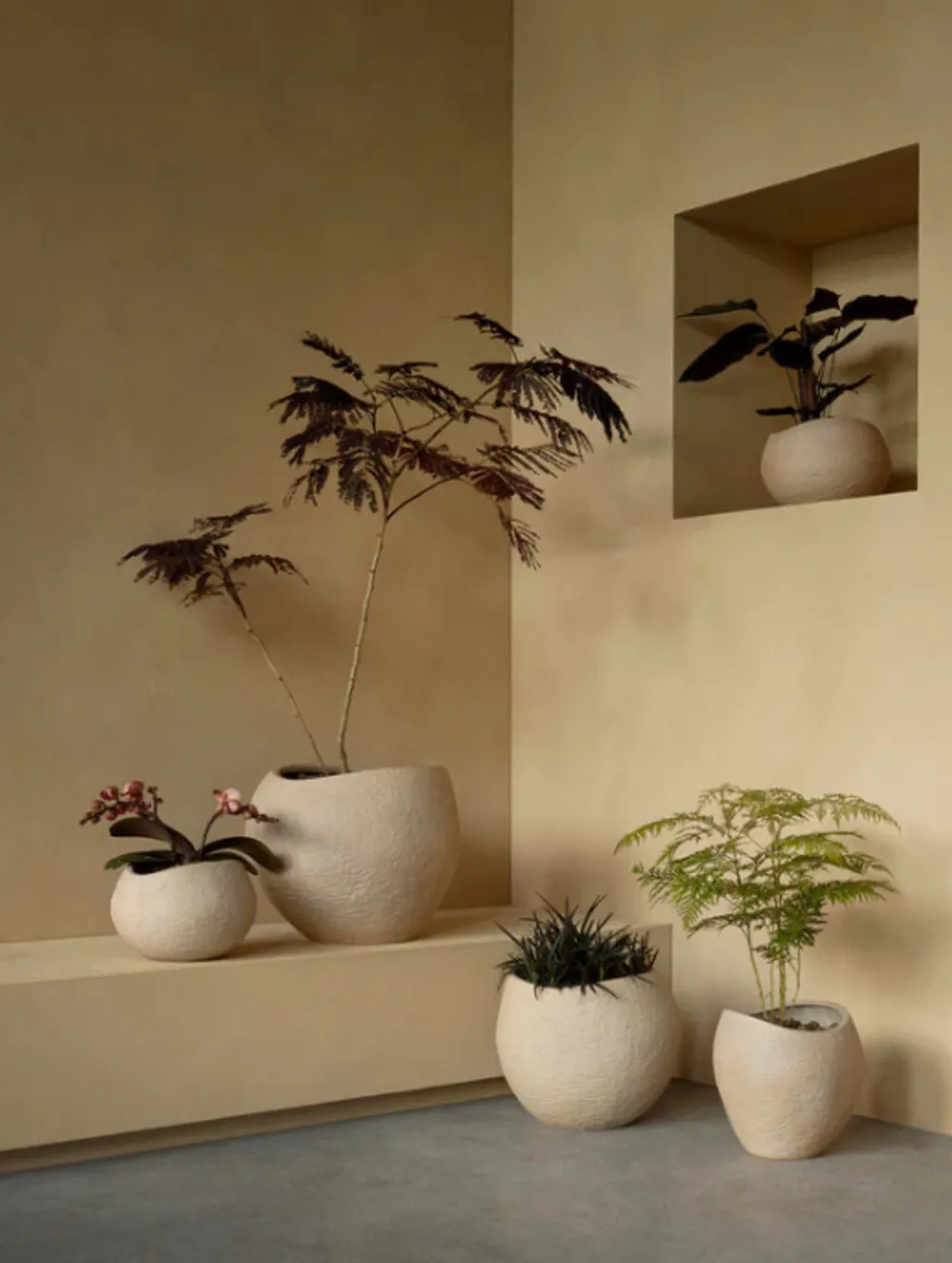 Audo Copenhagen Stue|Urtepotter Og Krukker > Plantas Urtepotte H, Ivory