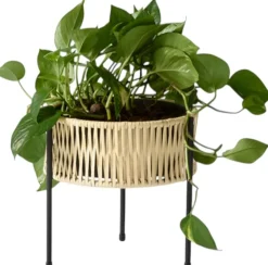 Clearance Umanoff Plantestativ H, Rattan Stue|Urtepotter Og Krukker