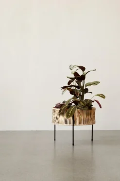 Clearance Umanoff Plantestativ H, Rattan Stue|Urtepotter Og Krukker