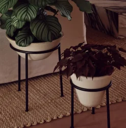 Best Daiza Planteopsats ?25 cm, Ivory Stue|Urtepotter Og Krukker
