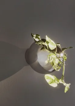 Sale AYTM GLOBE Urtepotte Væghængt H, Sølv
