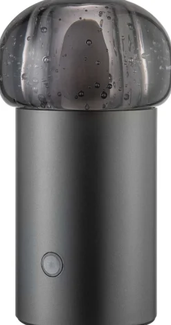Clearance IRIS Trådløs Bordlampe H18,2, Bordlamper|Trådløse Lamper