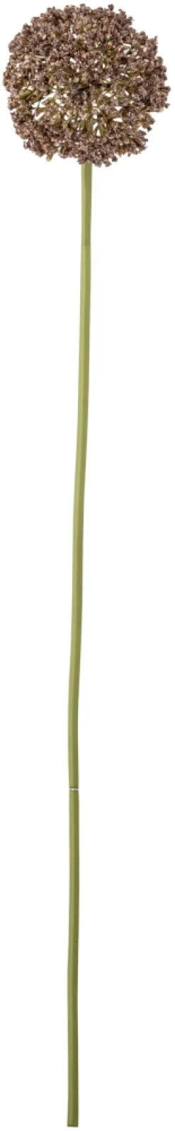 Bloomingville Stue > Allium Kunstig Stilk 70 cm, Brun