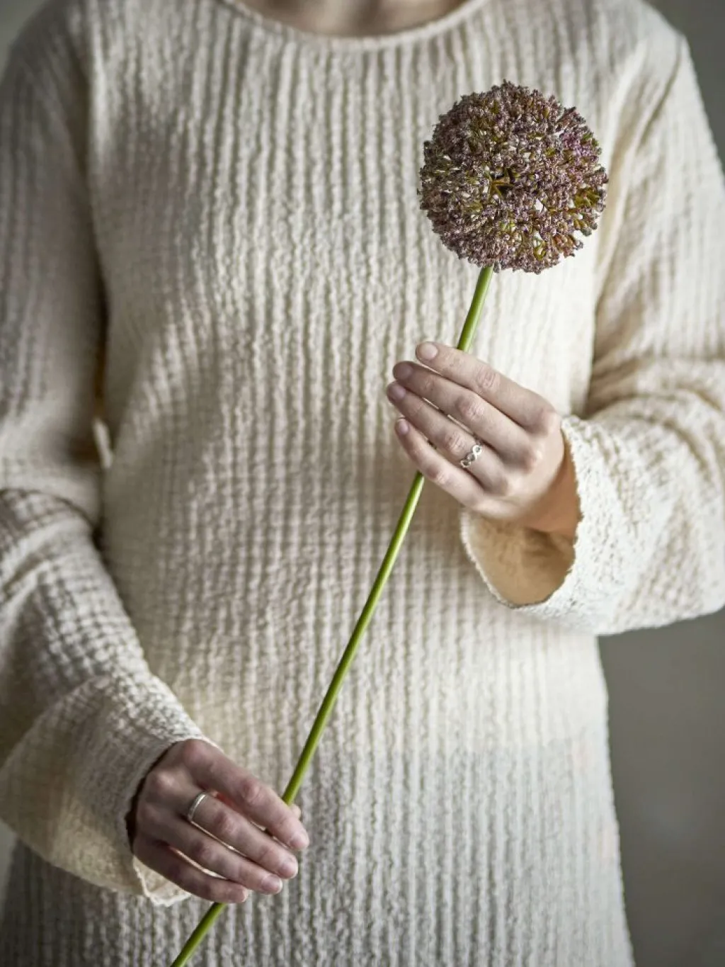 Bloomingville Stue > Allium Kunstig Stilk 70 cm, Brun
