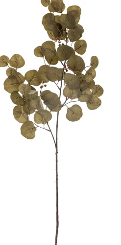 Online Eucalyptus Kunstig Stilk 86 cm, Brun Stue