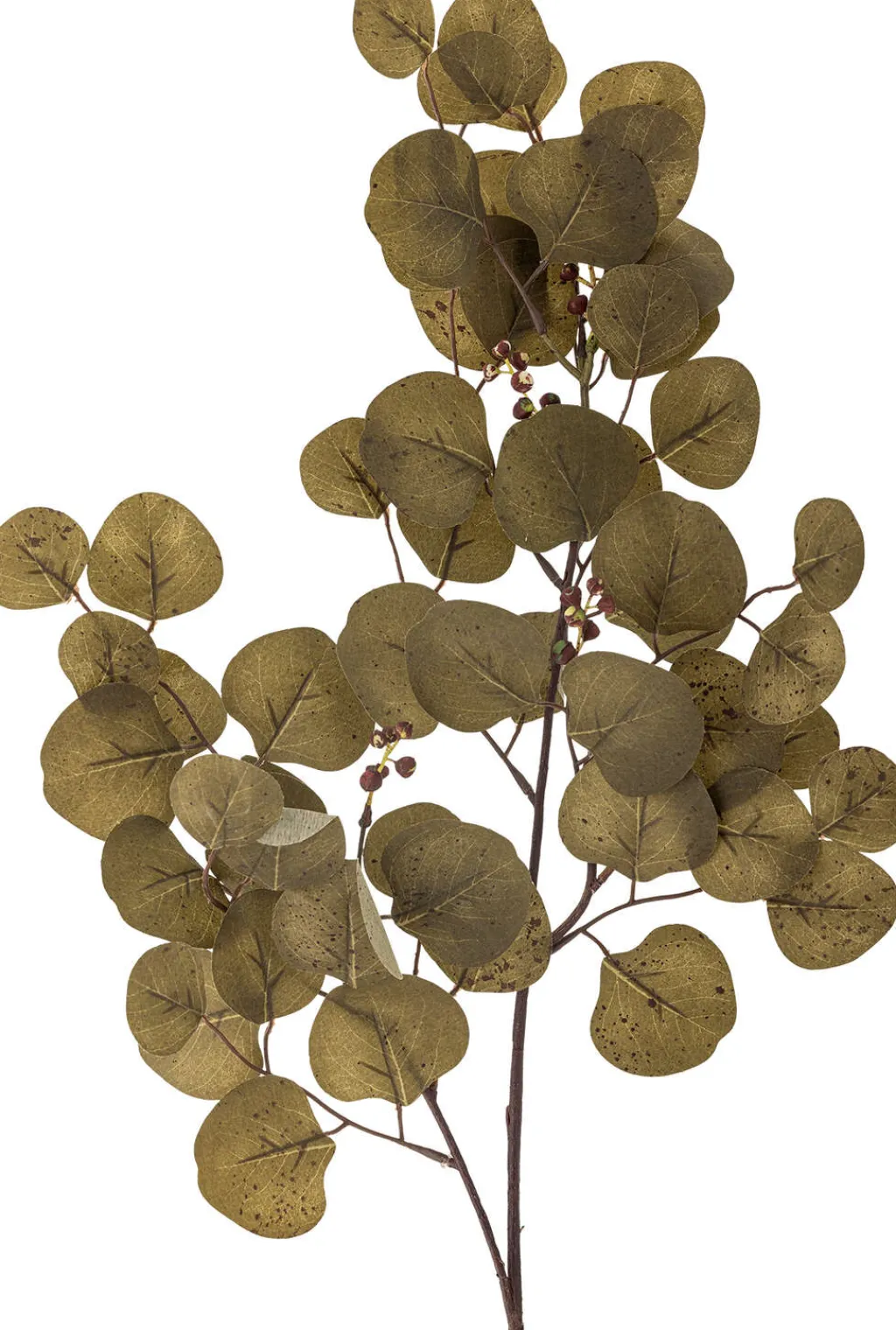 Online Eucalyptus Kunstig Stilk 86 cm, Brun Stue