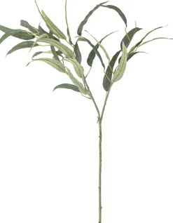 Online Bloomingville Eucalyptus Kunstig Stilk , Grøn