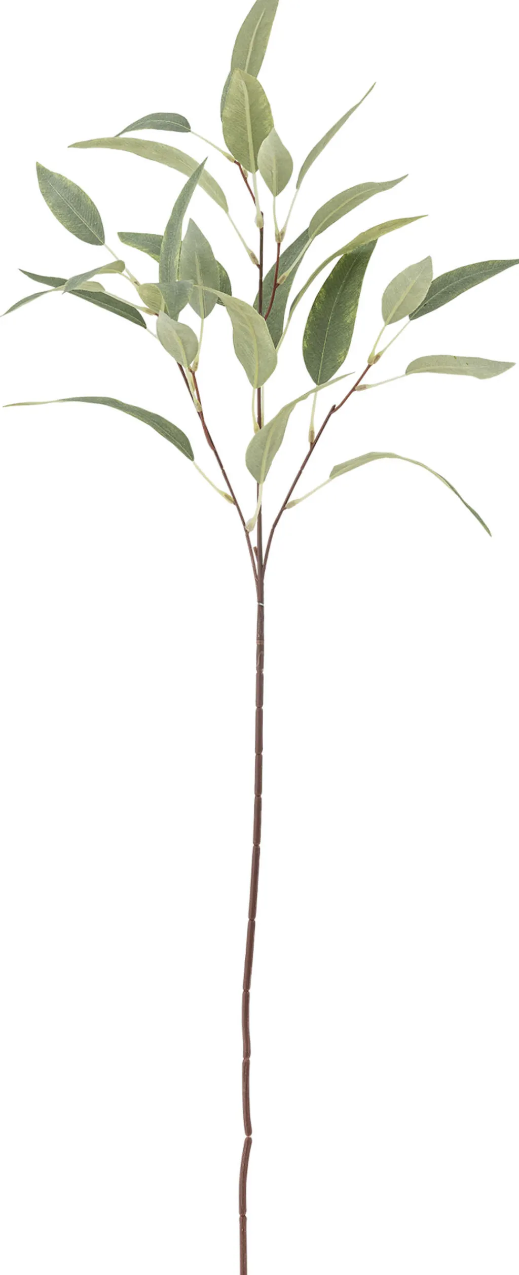 Bloomingville Stue > Eucalyptus Kunstig Stilk 85 cm,