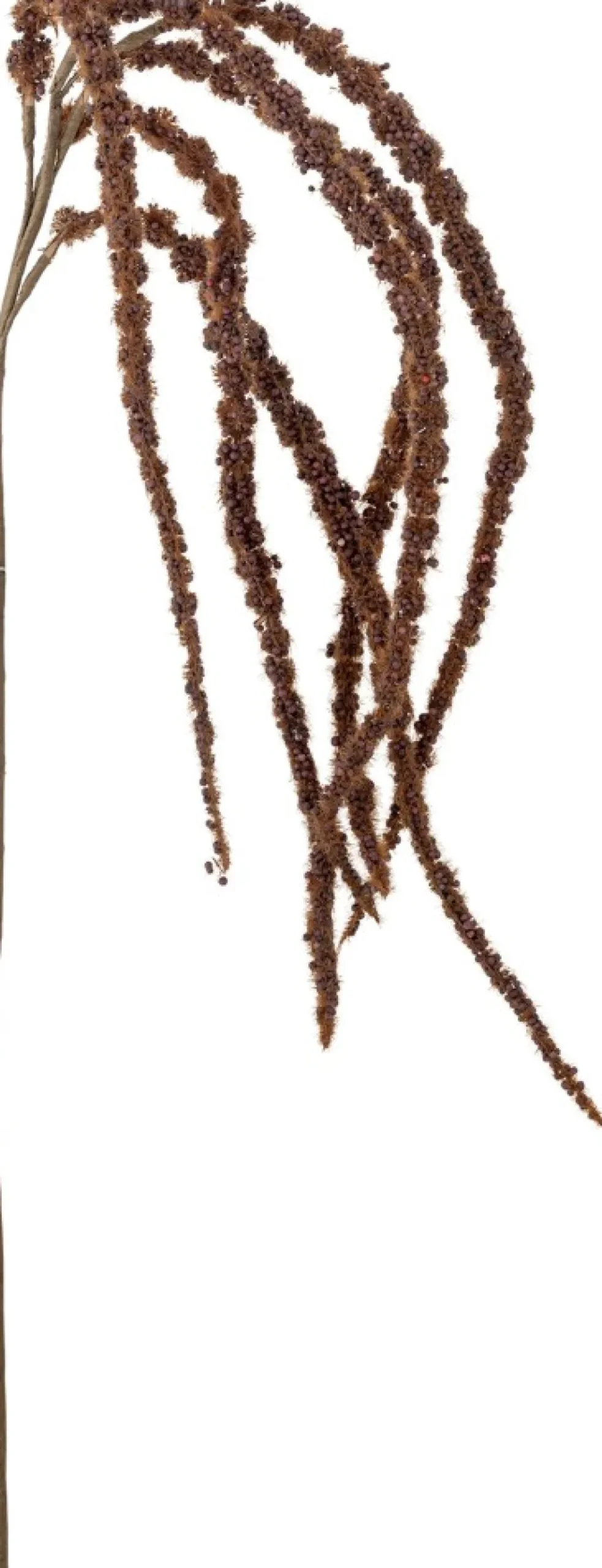 Hot Foxtail Kunstig Stilk 91 cm, Brun Stue