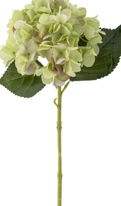 Online Hydrangea Kunstig Stilk , Hvid Stue