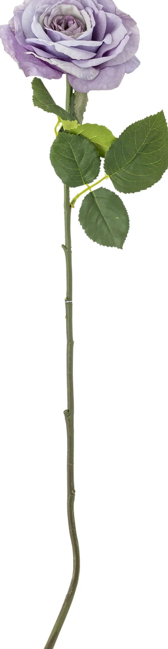 Bloomingville Stue > Rose Kunstig Stilk 66 cm, Lilla