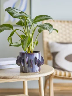 Bloomingville Stue|Urtepotter Og Krukker > Roza Urtepotteskjuler H13 cm, Grå