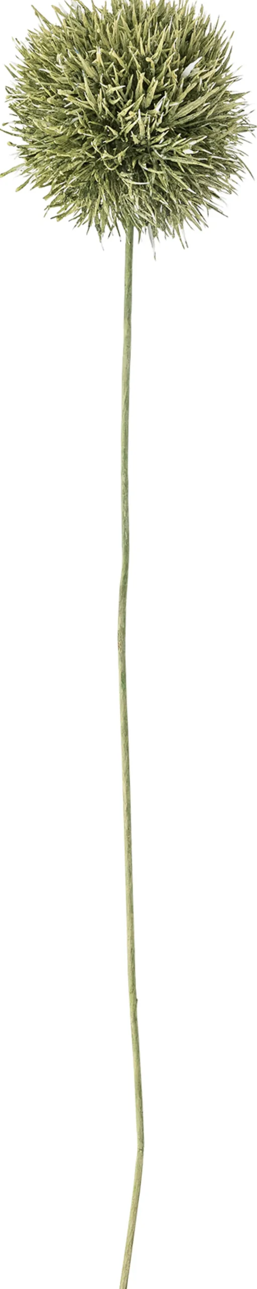 Bloomingville Stue > Allium Kunstig Stilk 62 cm, Grøn