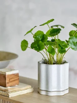 New Argyle Urtepotteskjuler H13 cm, Grå Stue|Urtepotter Og Krukker