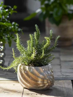 Online Corelia Urtepotteskjuler H12 cm, Brun Urtepotter Og Krukker