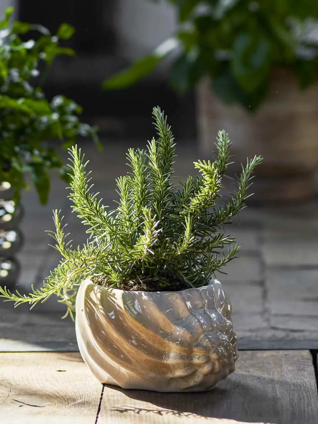 Online Corelia Urtepotteskjuler H12 cm, Brun Urtepotter Og Krukker