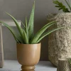 Clearance Dua Urtepotteskjuler H17 cm, Grøn Stue|Urtepotter Og Krukker