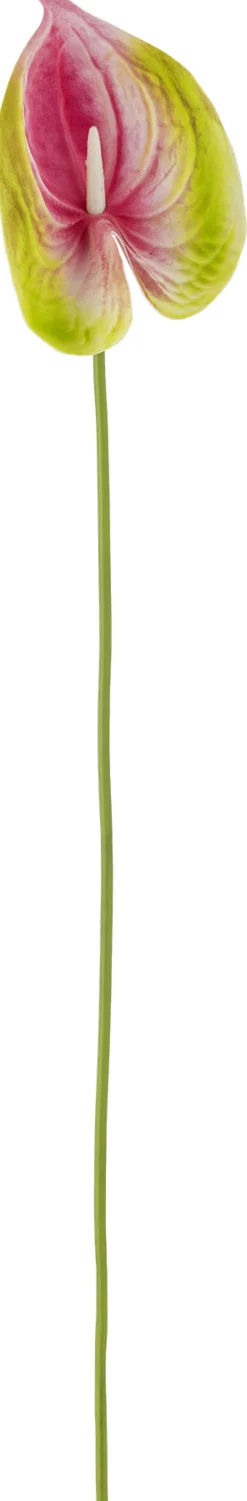 Bloomingville Stue ><noscript><img width=