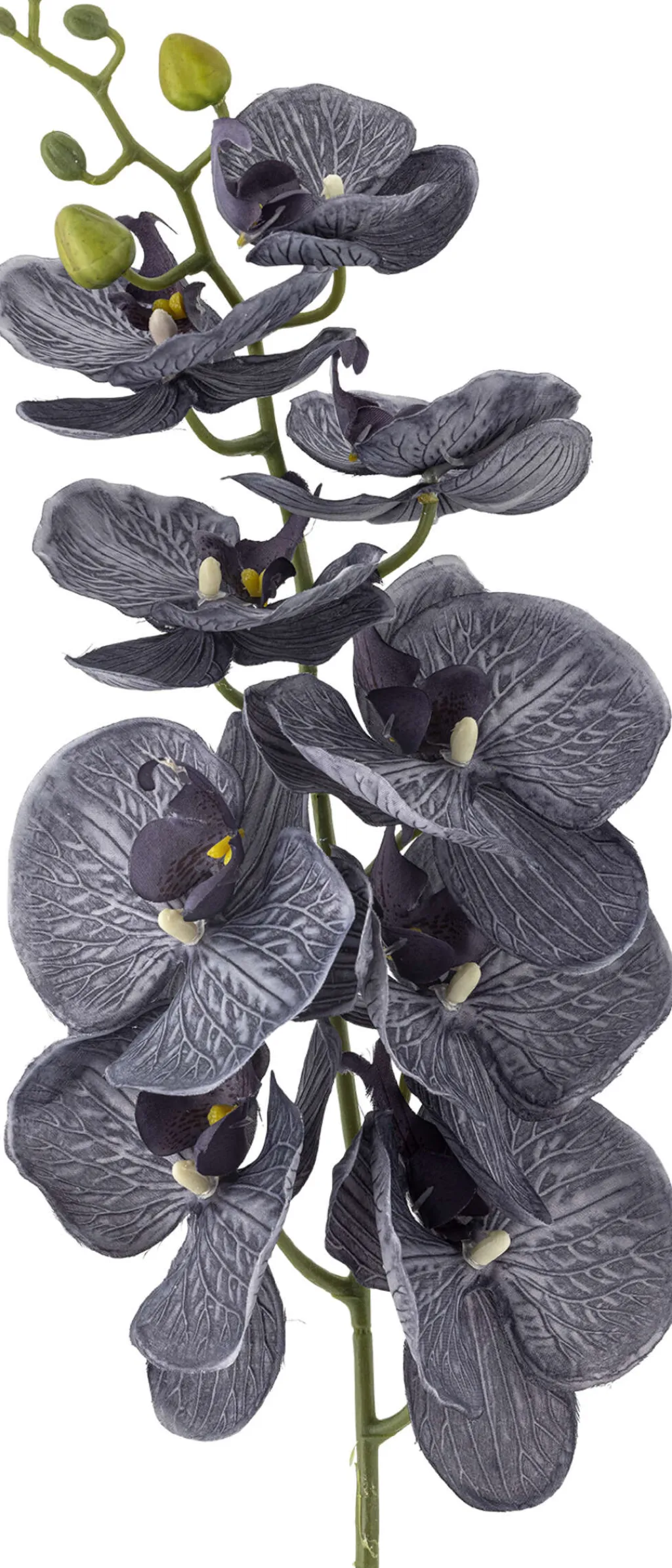 Orchid Kunstig Stilk 105,5 cm, Lilla Stue