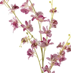 Clearance Orchid Kunstig Stilk 109 cm, Rosa Stue