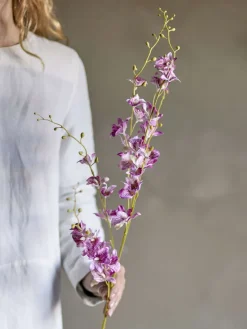 Clearance Orchid Kunstig Stilk 109 cm, Rosa Stue
