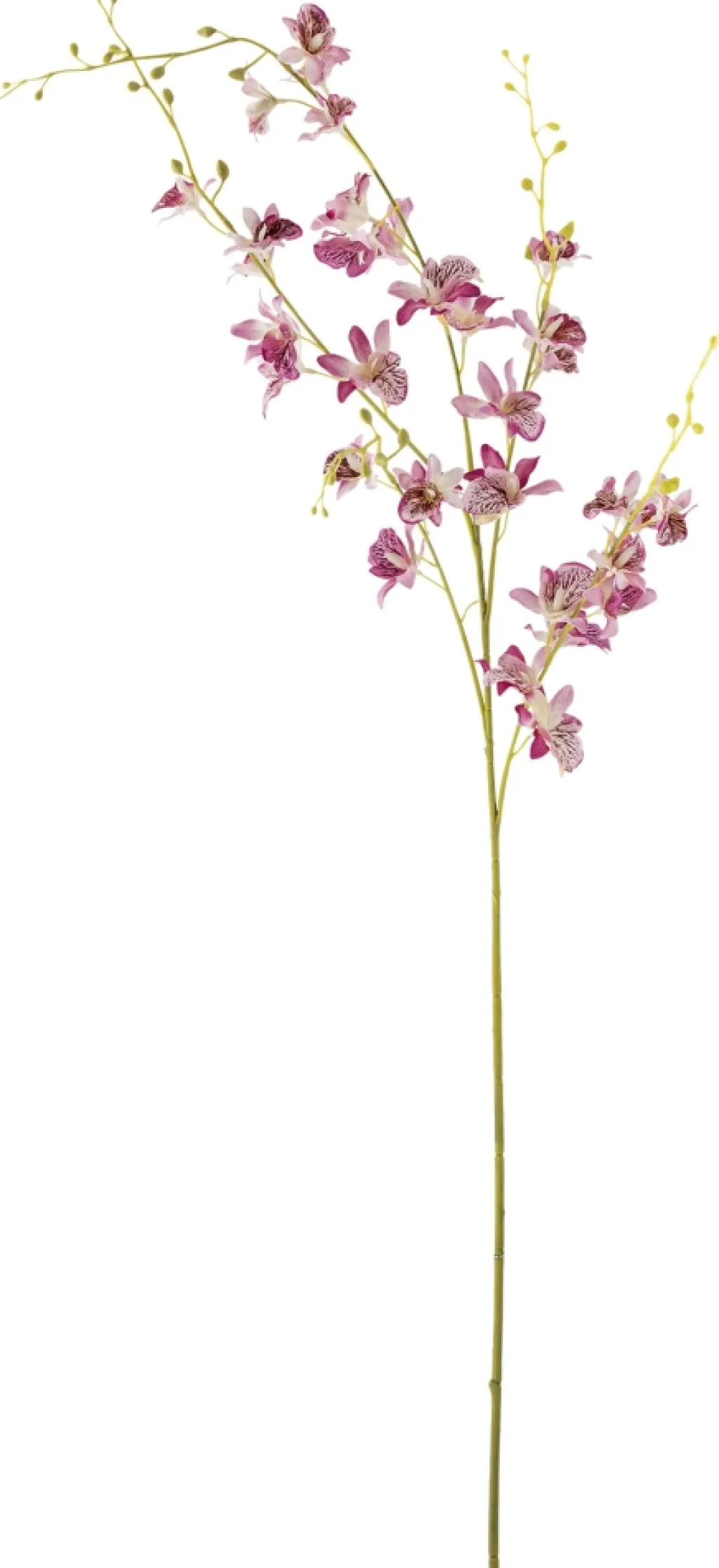 Clearance Orchid Kunstig Stilk 109 cm, Rosa Stue