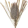 Hot Bloomingville Palmflower Kunstig Stilk 72 cm, Brun