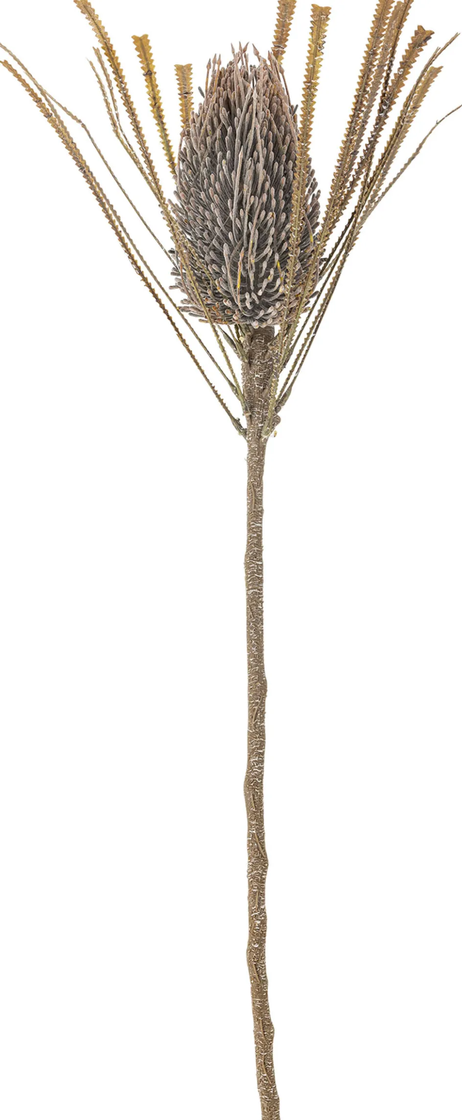 Hot Bloomingville Palmflower Kunstig Stilk 72 cm, Brun