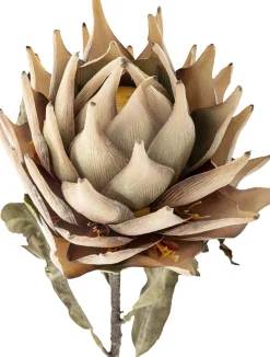 Protea Kunstig Stilk 76 cm, Stue