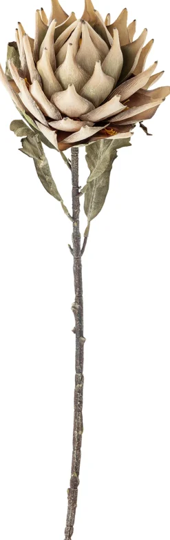 Protea Kunstig Stilk 76 cm, Stue