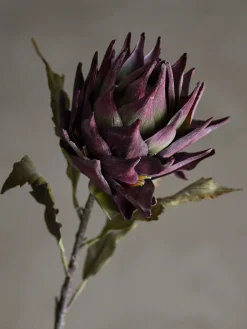 Discount Protea Kunstig Stilk 76 cm, Stue