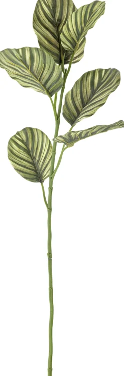 Sale Bloomingville Zebra Kunstig Stilk 79 cm, Grøn