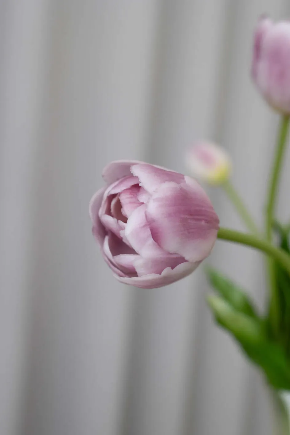 Online BLOOM OBJECTS Kunstige Fyldte Tulipaner Buket 40 cm, Lilla