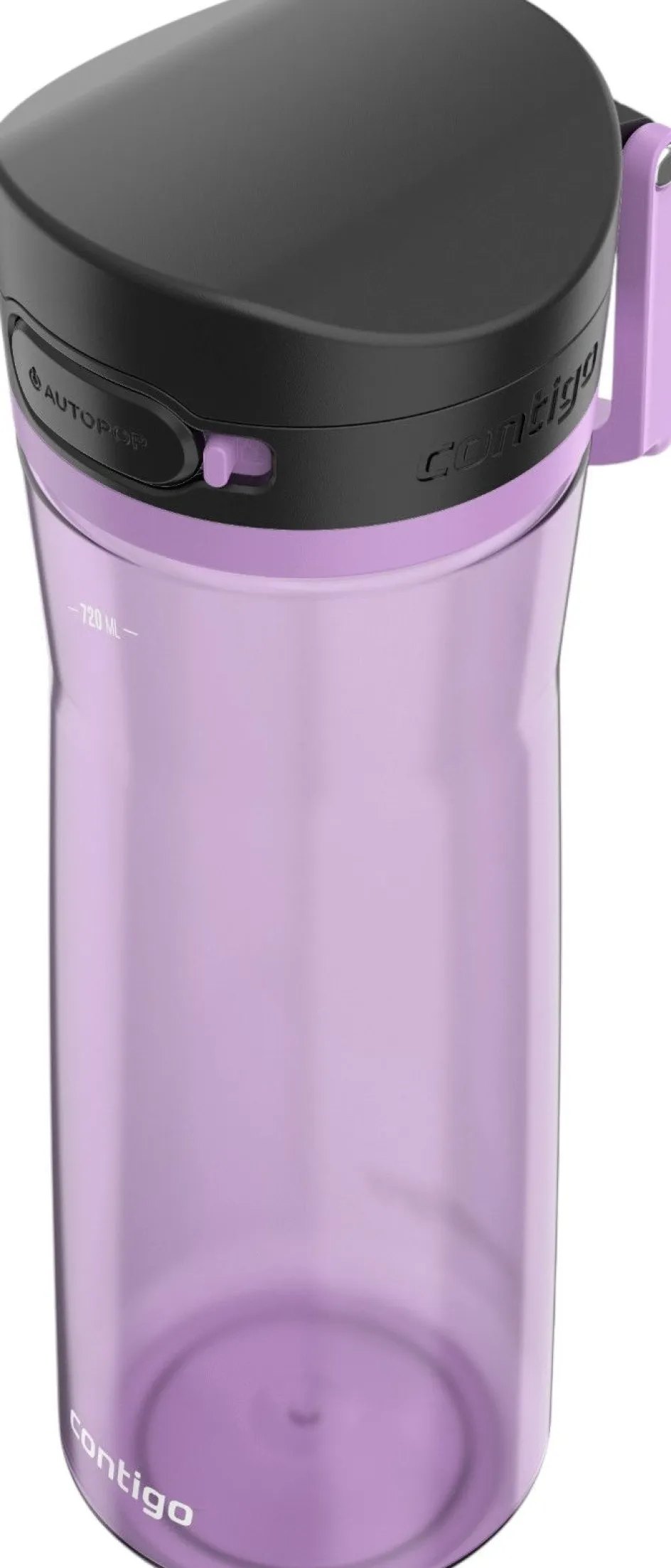 Contigo Jackson 2.0 Drikkeflaske 720 ml, Panzy