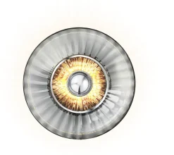 Sale New Wave Optic Væglampe , Lamper Til Soveværelset|Lamper Til Køkkenet