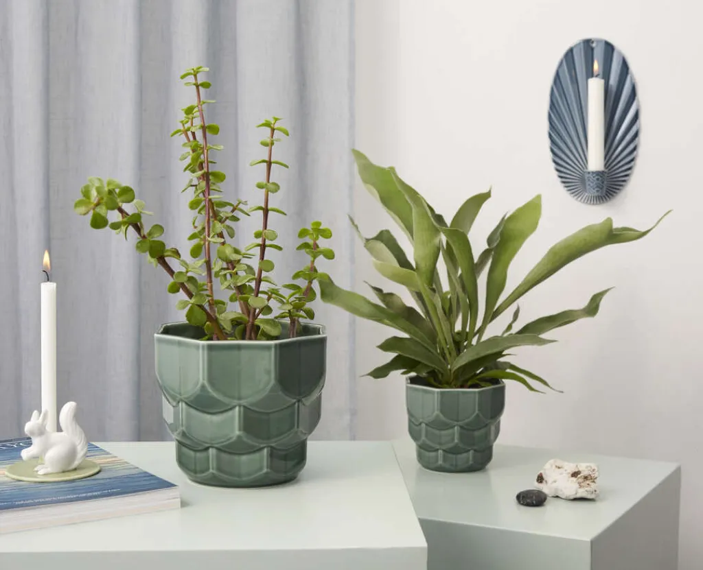 Nordic Design Samsurium Urtepotte H, Spruce Stue|Urtepotter Og Krukker