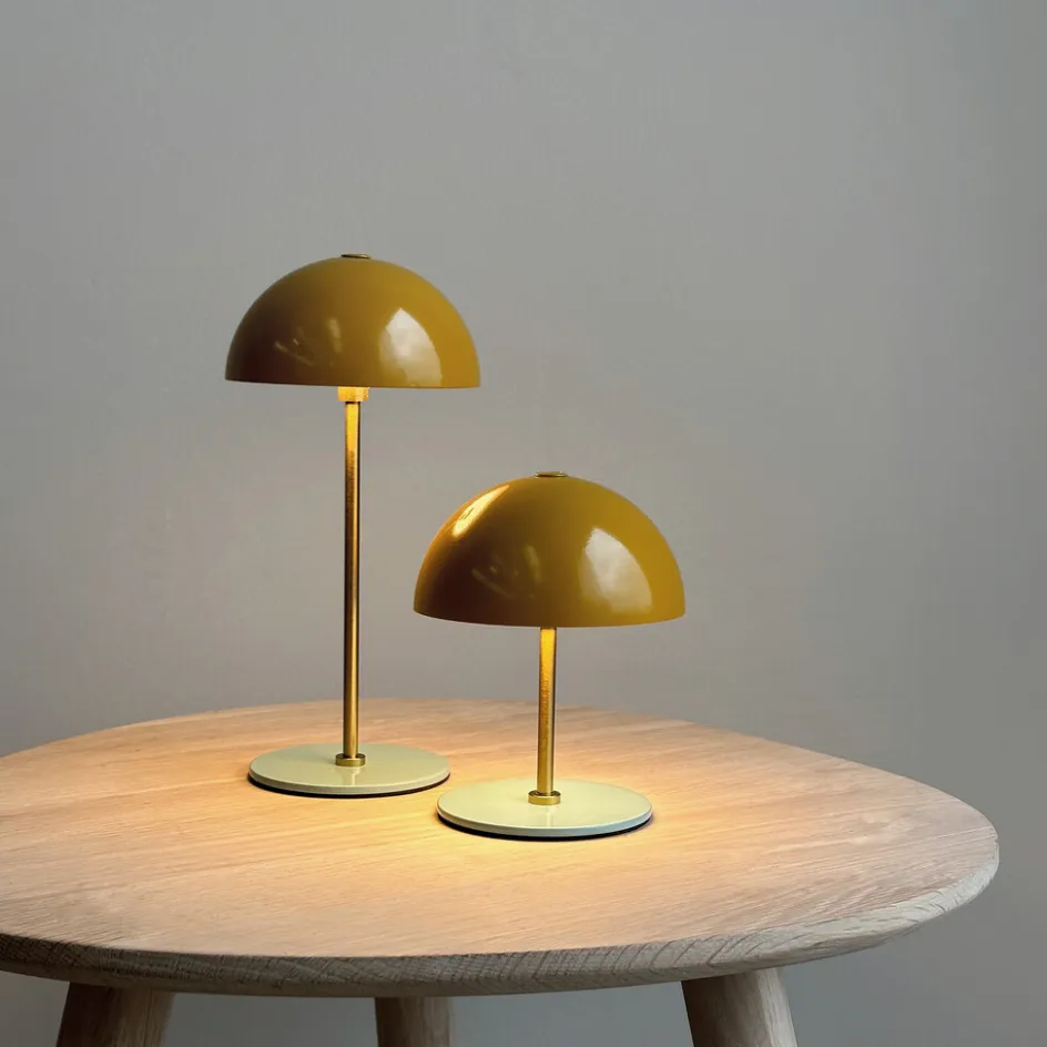 Online Dyberg Larsen ALONG Trådløs Minibordlampe LED 2 stk, Curry/Turkis