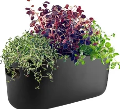 Hot Selvvandende Herb Organiser, Stue|Urtepotter Og Krukker