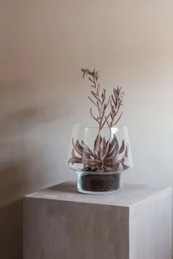 Clearance Eva Solo Sukkulent Glasvase ?15 cm