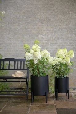 Discount Eva Solo Simply Grow Urtepotteskjuler H, Sort