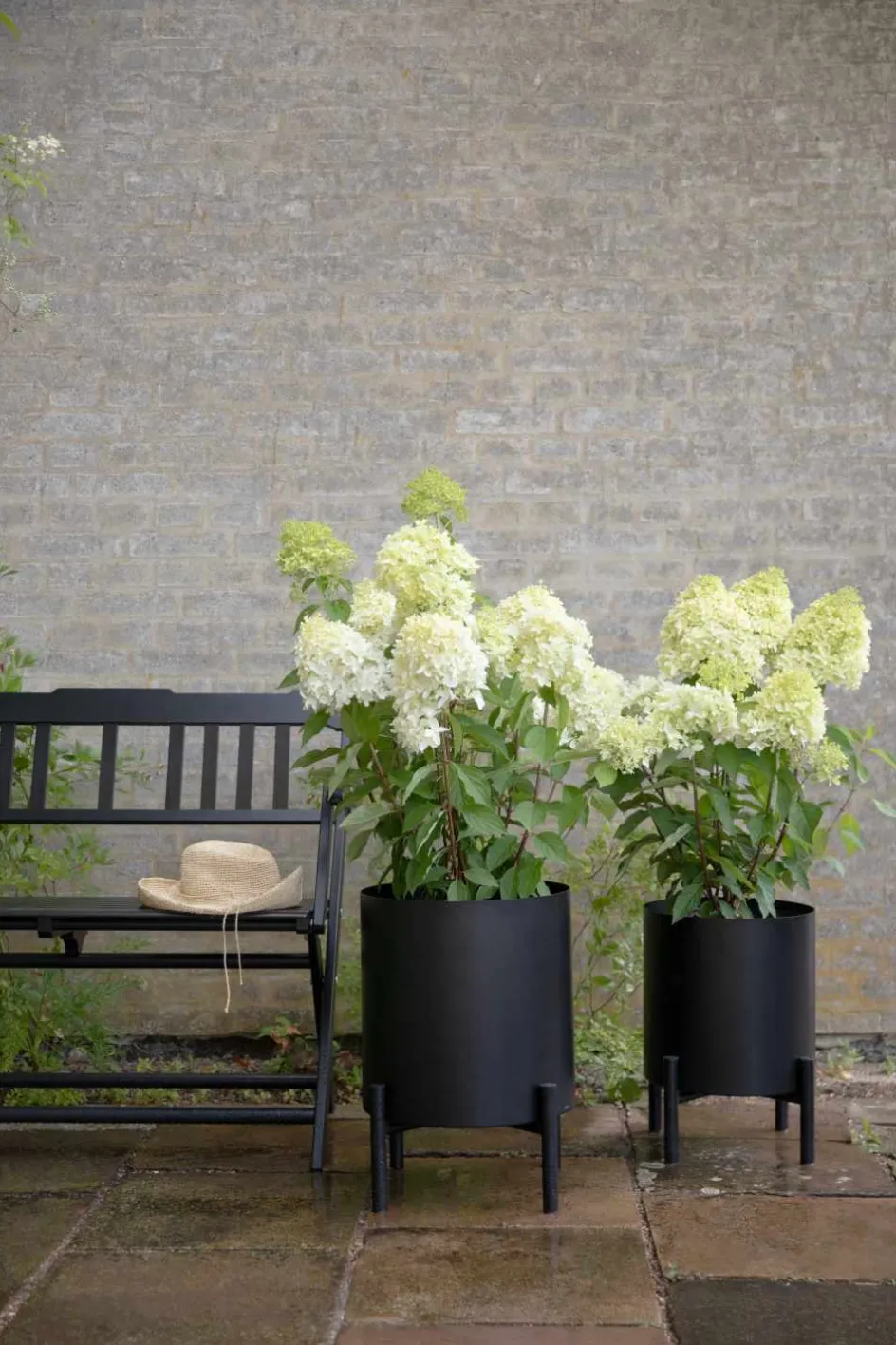 Discount Eva Solo Simply Grow Urtepotteskjuler H, Sort