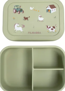 Børn FILIBABBA Madkasser Til Børn > Madkasse 700 ml,