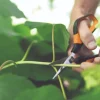 Outlet Fiskars Solid Snip Trimming Saks SP150 24 cm