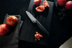 Sale Fiskars Taiten Urtekniv 10 cm
