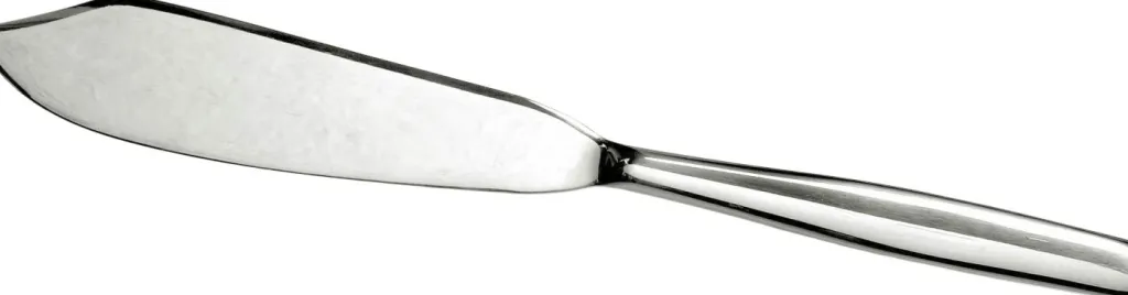 Hot Lagkagekniv 30 cm, Stål Serveringsbestik