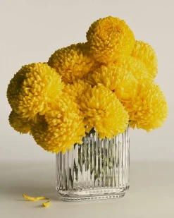 Online Georg Jensen Bernadotte Vase H, Klar