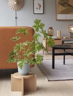 Online Nomad Plantestander H, Eg Stue|Urtepotter Og Krukker