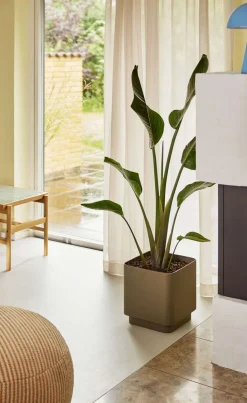 Sale Cube Potte 2 stk, Brun Stue|Urtepotter Og Krukker